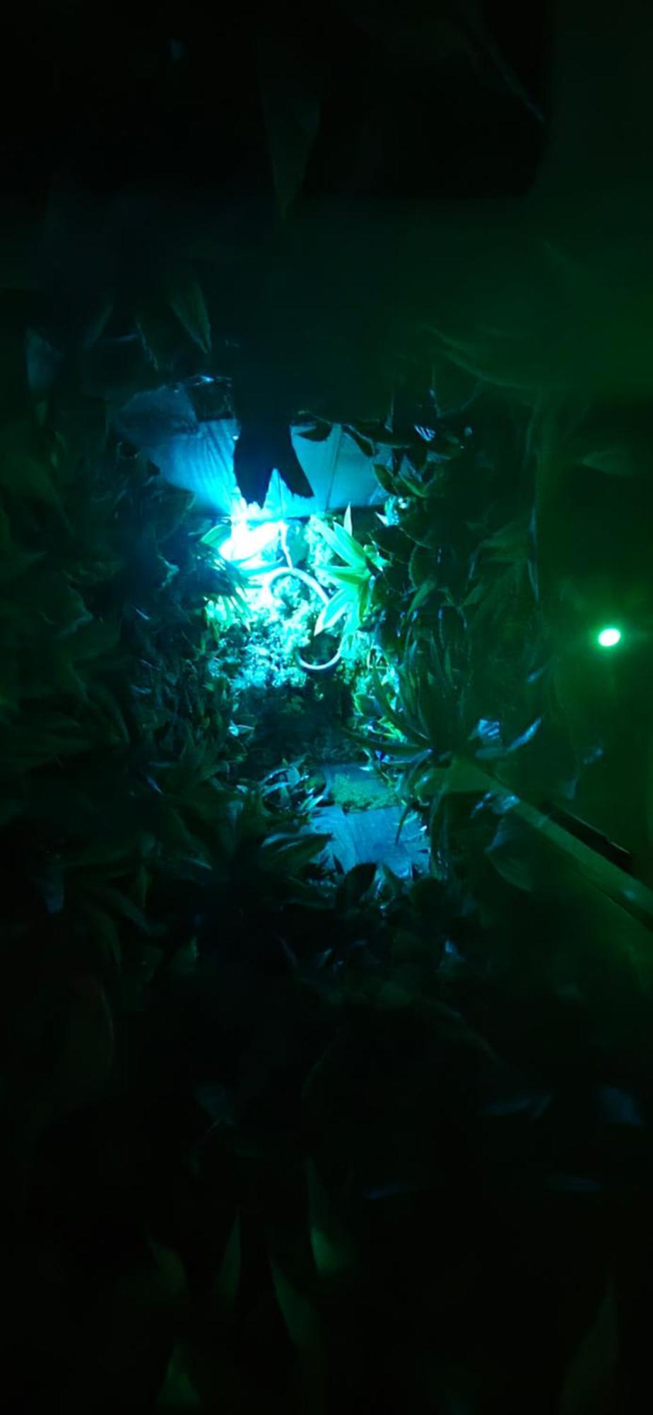 La Jungle Room Rognac Extérieur photo